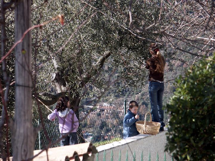 2003-01 015.jpg - DCF 1.0
